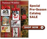 Shop our preseason catalog sale today!